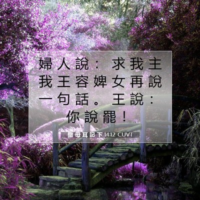 Picture 07 - 撒 母 耳 記 下 14:12 CUVT - 婦 人 說 ： 求 我 主 我 王 容 婢 女 - Bible Verse Picture