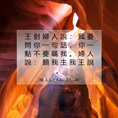 Picture 07 - 撒 母 耳 記 下 14:18 CUVT - 王 對 婦 人 說 ： 我 要 問 你 一 句 - Bible Verse Picture