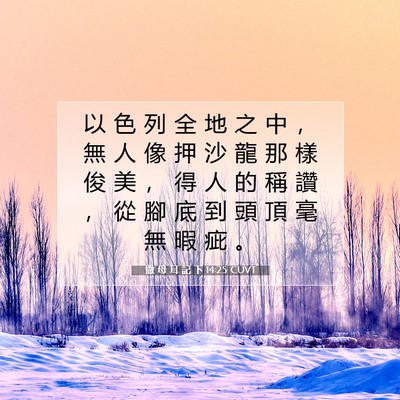 Picture 07 - 撒 母 耳 記 下 14:25 CUVT - 以 色 列 全 地 之 中 ， 無 人 像 押 - Bible Verse Picture