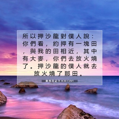 Picture 07 - 撒 母 耳 記 下 14:30 CUVT - 所 以 押 沙 龍 對 僕 人 說 ： 你 們 - Bible Verse Picture