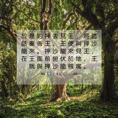 Picture 07 - 撒 母 耳 記 下 14:33 CUVT - 於 是 約 押 去 見 王 ， 將 這 話 奏 - Bible Verse Picture