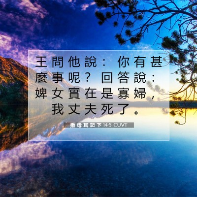 Picture 07 - 撒 母 耳 記 下 14:5 CUVT - 王 問 他 說 ： 你 有 甚 麼 事 呢 ？ - Bible Verse Picture