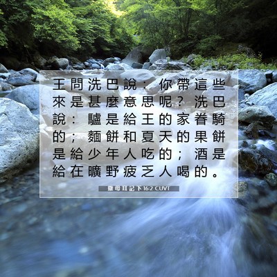 Picture 07 - 撒 母 耳 記 下 16:2 CUVT - 王 問 洗 巴 說 ： 你 帶 這 些 來 是 - Bible Verse Picture