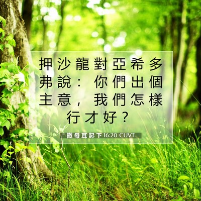 Picture 07 - 撒 母 耳 記 下 16:20 CUVT - 押 沙 龍 對 亞 希 多 弗 說 ： 你 們 - Bible Verse Picture