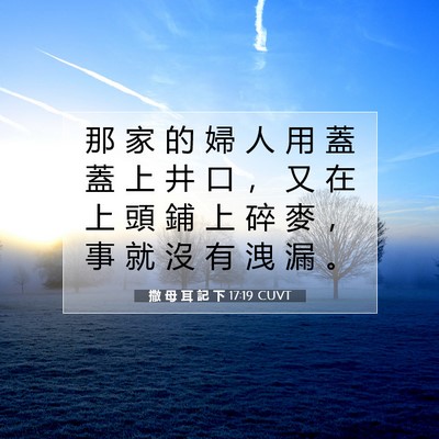 Picture 07 - 撒 母 耳 記 下 17:19 CUVT - 那 家 的 婦 人 用 蓋 蓋 上 井 口 ， - Bible Verse Picture