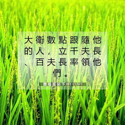 Picture 07 - 撒 母 耳 記 下 18:1 CUVT - 大 衛 數 點 跟 隨 他 的 人 ， 立 千 - Bible Verse Picture