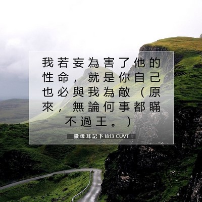 Picture 07 - 撒 母 耳 記 下 18:13 CUVT - 我 若 妄 為 害 了 他 的 性 命 ， 就 - Bible Verse Picture