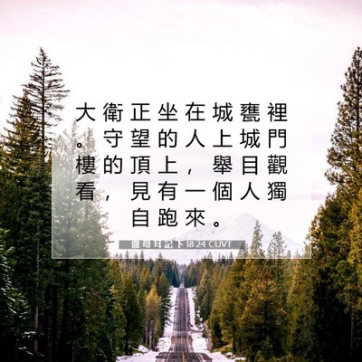 Picture 07 - 撒 母 耳 記 下 18:24 CUVT - 大 衛 正 坐 在 城 甕 裡 。 守 望 的 - Bible Verse Picture