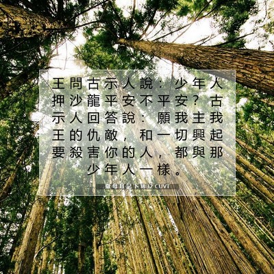 Picture 07 - 撒 母 耳 記 下 18:32 CUVT - 王 問 古 示 人 說 ： 少 年 人 押 沙 - Bible Verse Picture