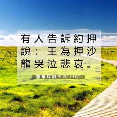 Picture 07 - 撒 母 耳 記 下 19:1 CUVT - 有 人 告 訴 約 押 說 ： 王 為 押 沙 - Bible Verse Picture