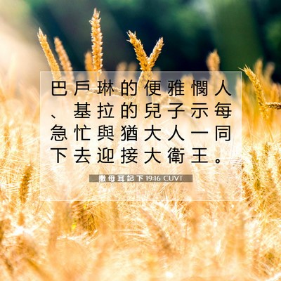 Picture 07 - 撒 母 耳 記 下 19:16 CUVT - 巴 戶 琳 的 便 雅 憫 人 、 基 拉 的 - Bible Verse Picture