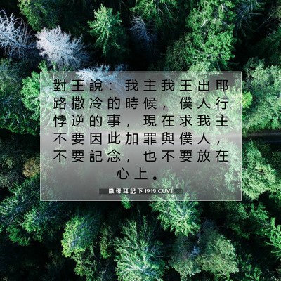 Picture 07 - 撒 母 耳 記 下 19:19 CUVT - 對 王 說 ： 我 主 我 王 出 耶 路 撒 - Bible Verse Picture