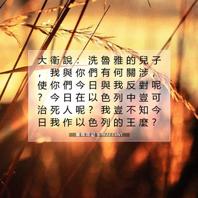 Picture 07 - 撒 母 耳 記 下 19:22 CUVT - 大 衛 說 ： 洗 魯 雅 的 兒 子 ， 我 - Bible Verse Picture