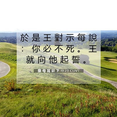 Picture 07 - 撒 母 耳 記 下 19:23 CUVT - 於 是 王 對 示 每 說 ： 你 必 不 死 - Bible Verse Picture