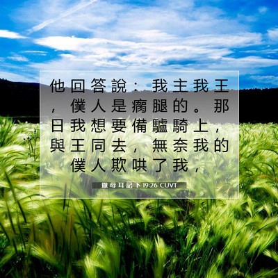 Picture 07 - 撒 母 耳 記 下 19:26 CUVT - 他 回 答 說 ： 我 主 我 王 ， 僕 人 - Bible Verse Picture