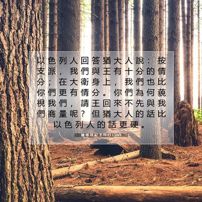 Picture 07 - 撒 母 耳 記 下 19:43 CUVT - 以 色 列 人 回 答 猶 大 人 說 ： 按 - Bible Verse Picture