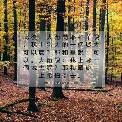 Picture 07 - 撒 母 耳 記 下 2:1 CUVT - 此 後 ， 大 衛 問 耶 和 華 說 ： 我 - Bible Verse Picture