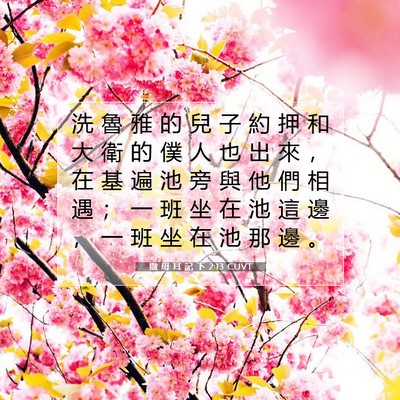 Picture 07 - 撒 母 耳 記 下 2:13 CUVT - 洗 魯 雅 的 兒 子 約 押 和 大 衛 的 - Bible Verse Picture