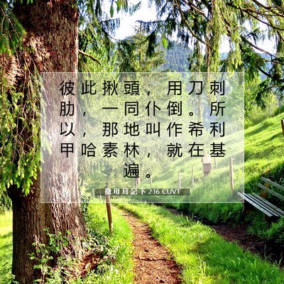 Picture 07 - 撒 母 耳 記 下 2:16 CUVT - 彼 此 揪 頭 ， 用 刀 刺 肋 ， 一 同 - Bible Verse Picture