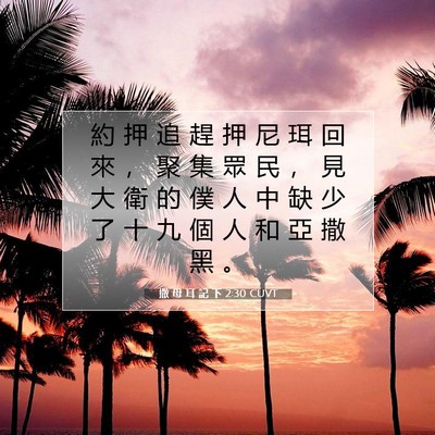 Picture 07 - 撒 母 耳 記 下 2:30 CUVT - 約 押 追 趕 押 尼 珥 回 來 ， 聚 集 - Bible Verse Picture