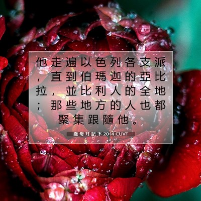 Picture 07 - 撒 母 耳 記 下 20:14 CUVT - 他 走 遍 以 色 列 各 支 派 ， 直 到 - Bible Verse Picture