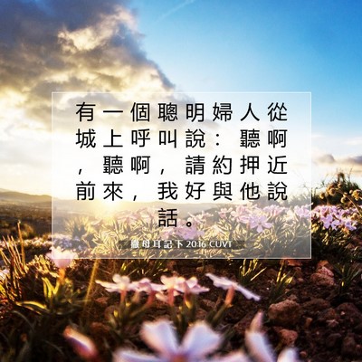 Picture 07 - 撒 母 耳 記 下 20:16 CUVT - 有 一 個 聰 明 婦 人 從 城 上 呼 叫 - Bible Verse Picture