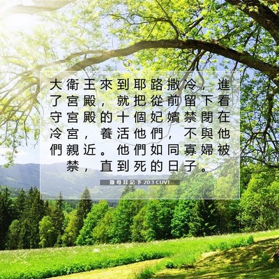 Picture 07 - 撒 母 耳 記 下 20:3 CUVT - 大 衛 王 來 到 耶 路 撒 冷 ， 進 了 - Bible Verse Picture