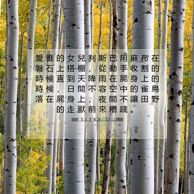 Picture 07 - 撒 母 耳 記 下 21:10 CUVT - 愛 雅 的 女 兒 利 斯 巴 用 麻 布 在 - Bible Verse Picture