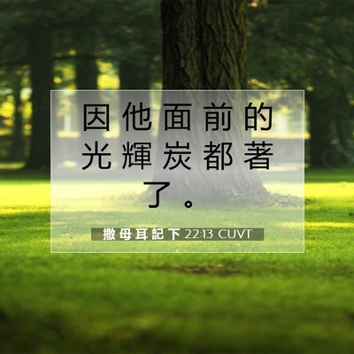 Picture 07 - 撒 母 耳 記 下 22:13 CUVT - 因 他 面 前 的 光 輝 炭 都 著 了 - Bible Verse Picture