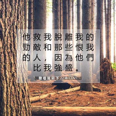 Picture 07 - 撒 母 耳 記 下 22:18 CUVT - 他 救 我 脫 離 我 的 勁 敵 和 那 些 - Bible Verse Picture