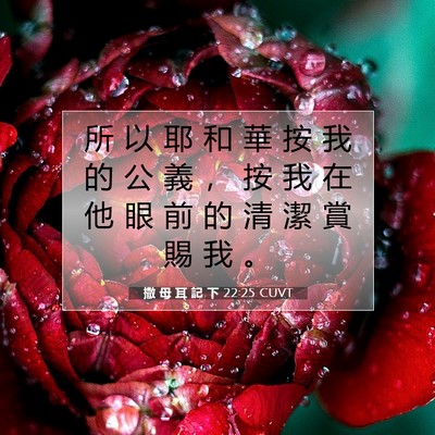 Picture 07 - 撒 母 耳 記 下 22:25 CUVT - 所 以 耶 和 華 按 我 的 公 義 ， 按 - Bible Verse Picture
