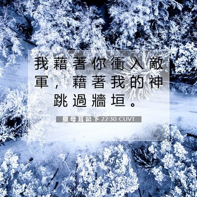 Picture 07 - 撒 母 耳 記 下 22:30 CUVT - 我 藉 著 你 衝 入 敵 軍 ， 藉 著 我 - Bible Verse Picture