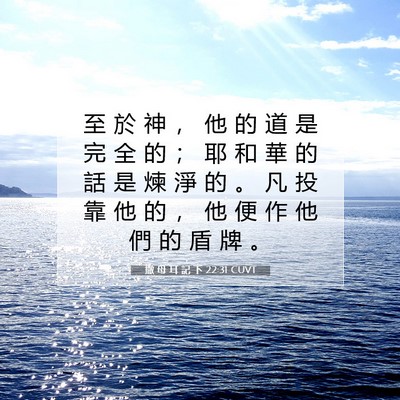 Picture 07 - 撒 母 耳 記 下 22:31 CUVT - 至 於 神 ， 他 的 道 是 完 全 的 ； - Bible Verse Picture