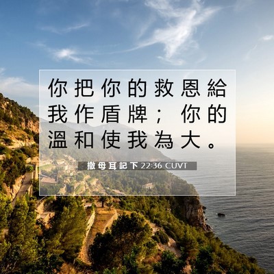 Picture 07 - 撒 母 耳 記 下 22:36 CUVT - 你 把 你 的 救 恩 給 我 作 盾 牌 ； - Bible Verse Picture