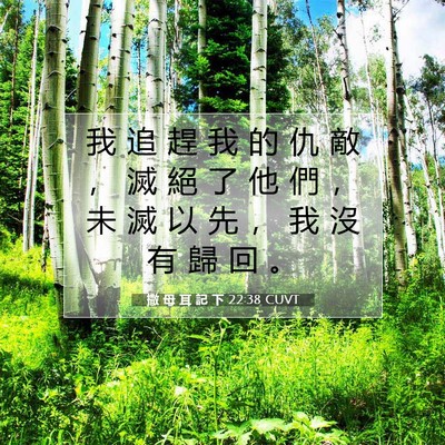 Picture 07 - 撒 母 耳 記 下 22:38 CUVT - 我 追 趕 我 的 仇 敵 ， 滅 絕 了 他 - Bible Verse Picture