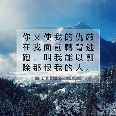 Picture 07 - 撒 母 耳 記 下 22:41 CUVT - 你 又 使 我 的 仇 敵 在 我 面 前 轉 - Bible Verse Picture