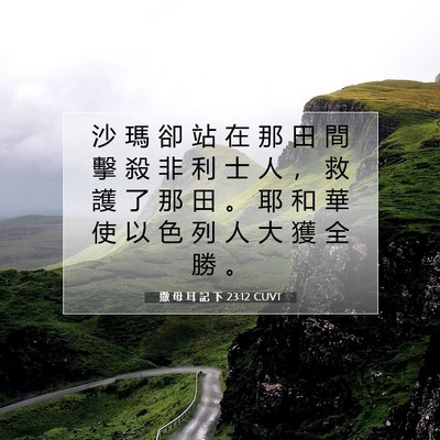 Picture 07 - 撒 母 耳 記 下 23:12 CUVT - 沙 瑪 卻 站 在 那 田 間 擊 殺 非 利 - Bible Verse Picture