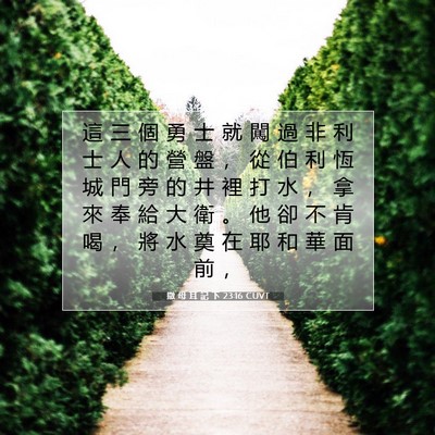 Picture 07 - 撒 母 耳 記 下 23:16 CUVT - 這 三 個 勇 士 就 闖 過 非 利 士 人 - Bible Verse Picture
