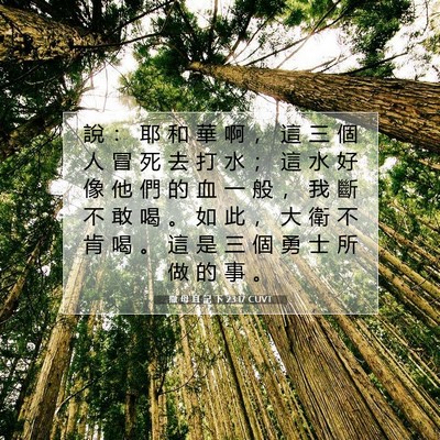 Picture 07 - 撒 母 耳 記 下 23:17 CUVT - 說 ： 耶 和 華 啊 ， 這 三 個 人 冒 - Bible Verse Picture