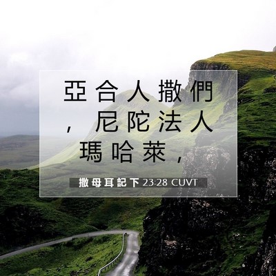 Picture 07 - 撒 母 耳 記 下 23:28 CUVT - 亞 合 人 撒 們 ， 尼 陀 法 人 瑪 哈 - Bible Verse Picture