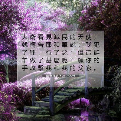 Picture 07 - 撒 母 耳 記 下 24:17 CUVT - 大 衛 看 見 滅 民 的 天 使 ， 就 禱 - Bible Verse Picture