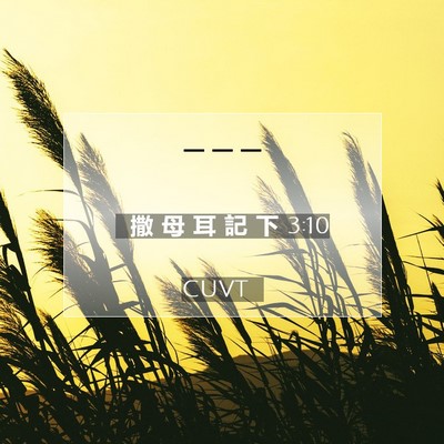 Picture 07 - 撒 母 耳 記 下 3:10 CUVT -  - Bible Verse Picture