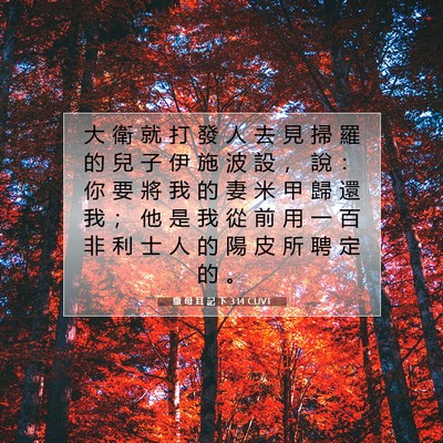 Picture 07 - 撒 母 耳 記 下 3:14 CUVT - 大 衛 就 打 發 人 去 見 掃 羅 的 兒 - Bible Verse Picture