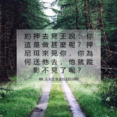 Picture 07 - 撒 母 耳 記 下 3:24 CUVT - 約 押 去 見 王 說 ： 你 這 是 做 甚 - Bible Verse Picture