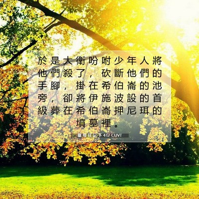 Picture 07 - 撒 母 耳 記 下 4:12 CUVT - 於 是 大 衛 吩 咐 少 年 人 將 他 們 - Bible Verse Picture