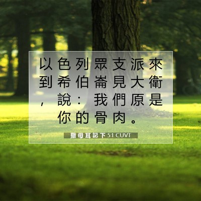 Picture 07 - 撒 母 耳 記 下 5:1 CUVT - 以 色 列 眾 支 派 來 到 希 伯 崙 見 - Bible Verse Picture