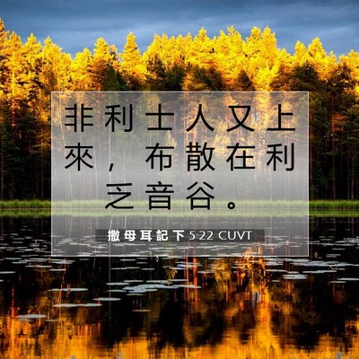 Picture 07 - 撒 母 耳 記 下 5:22 CUVT - 非 利 士 人 又 上 來 ， 布 散 在 利 - Bible Verse Picture