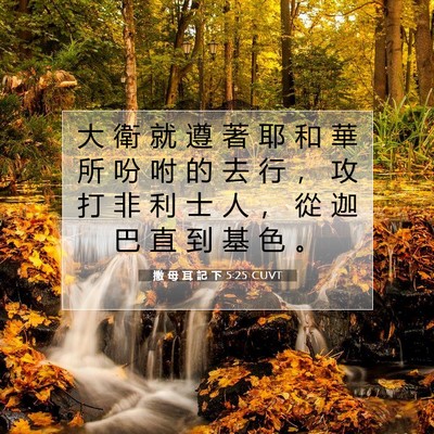 Picture 07 - 撒 母 耳 記 下 5:25 CUVT - 大 衛 就 遵 著 耶 和 華 所 吩 咐 的 - Bible Verse Picture