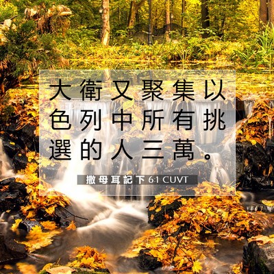 Picture 07 - 撒 母 耳 記 下 6:1 CUVT - 大 衛 又 聚 集 以 色 列 中 所 有 挑 - Bible Verse Picture