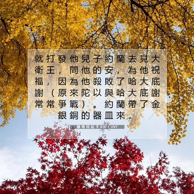 Picture 07 - 撒 母 耳 記 下 8:10 CUVT - 就 打 發 他 兒 子 約 蘭 去 見 大 衛 - Bible Verse Picture